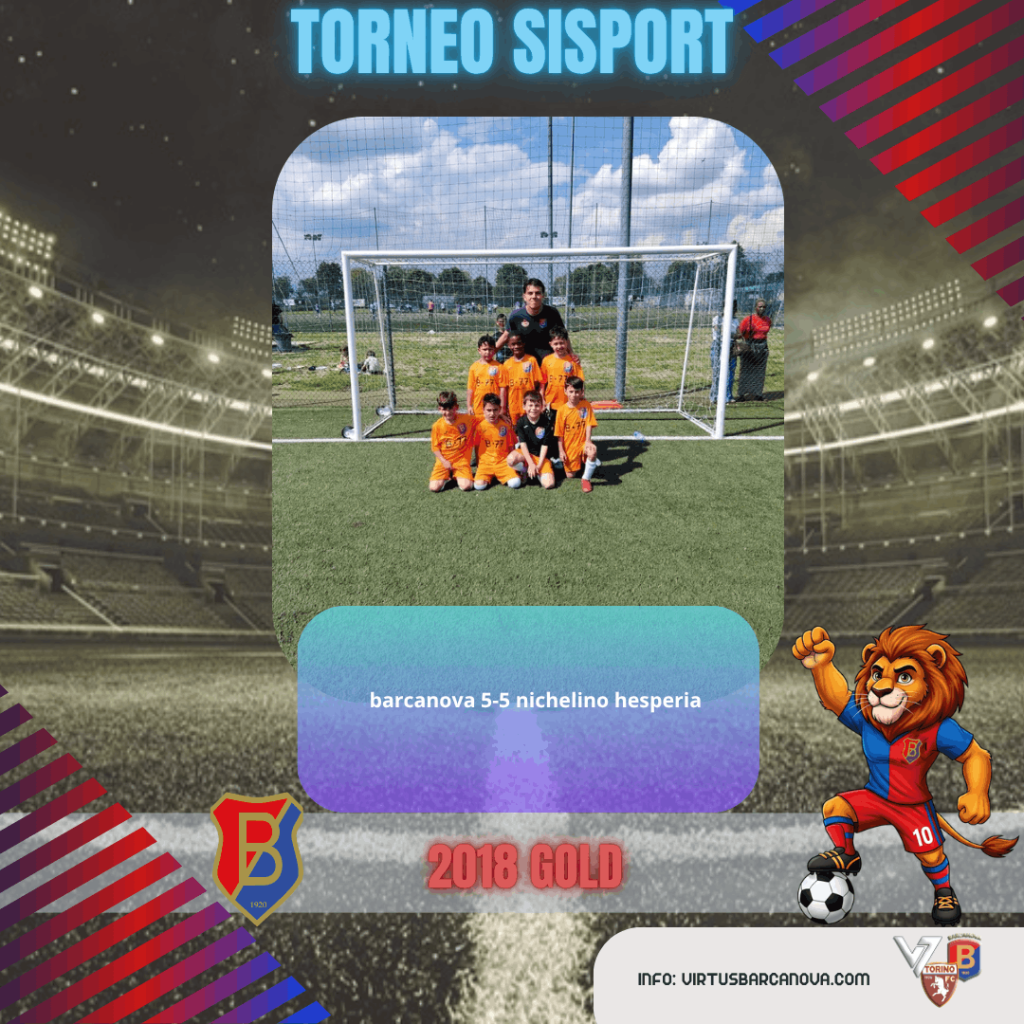 2018 GOLD ❤️💙 Torneo Sisport