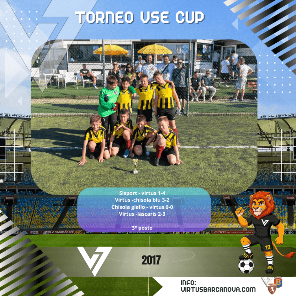 Torneo VSE CUP 2017