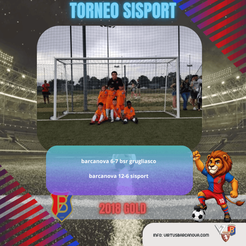 2018 GOLD ❤️💙 Torneo Sisport